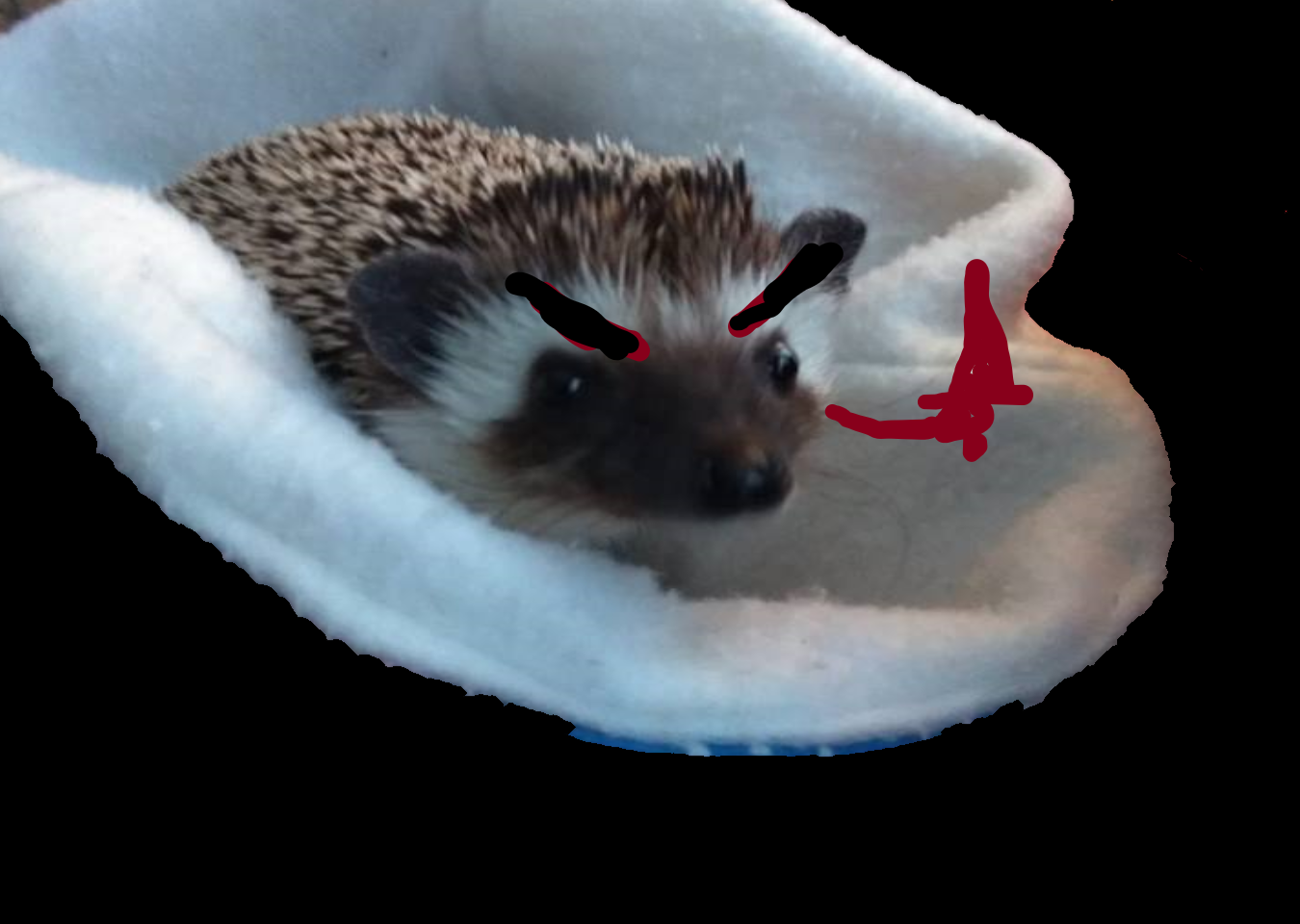 Buddy The Hedgehog Evil